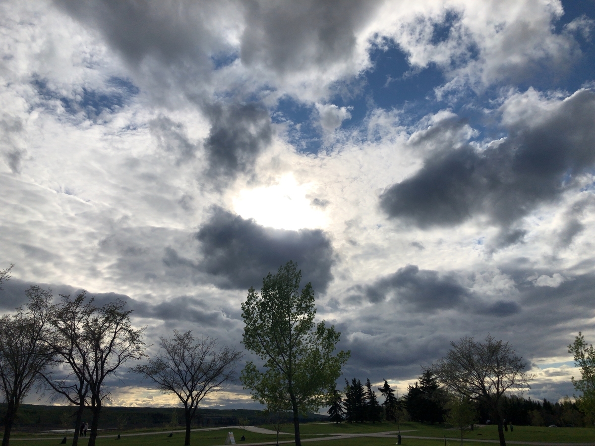 f:id:kuishinbou445:20200525001751j:plain