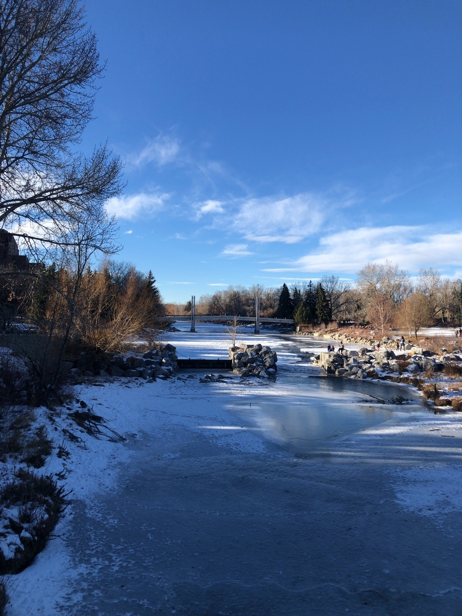 f:id:kuishinbou445:20201209094613j:plain