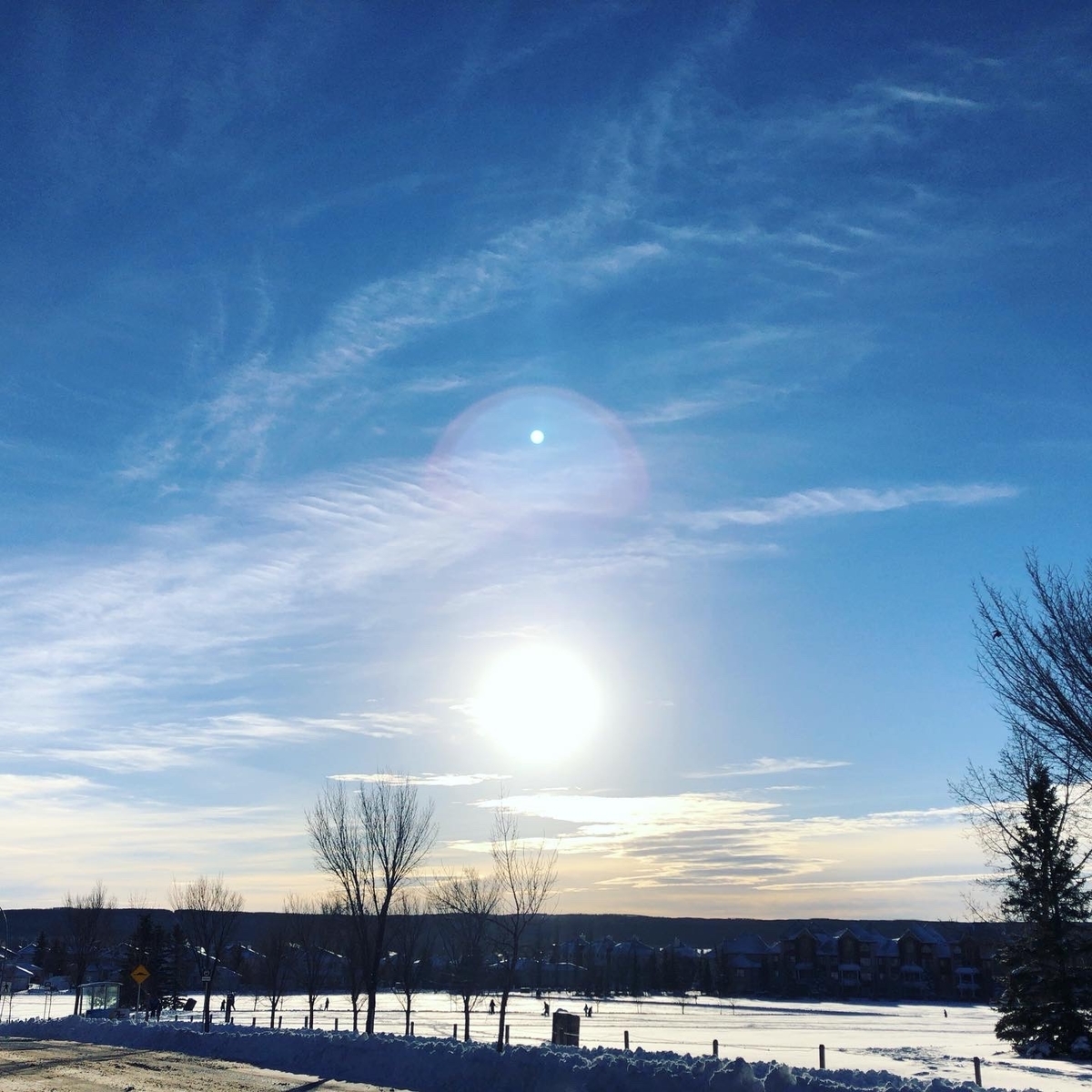 f:id:kuishinbou445:20201224120639j:plain