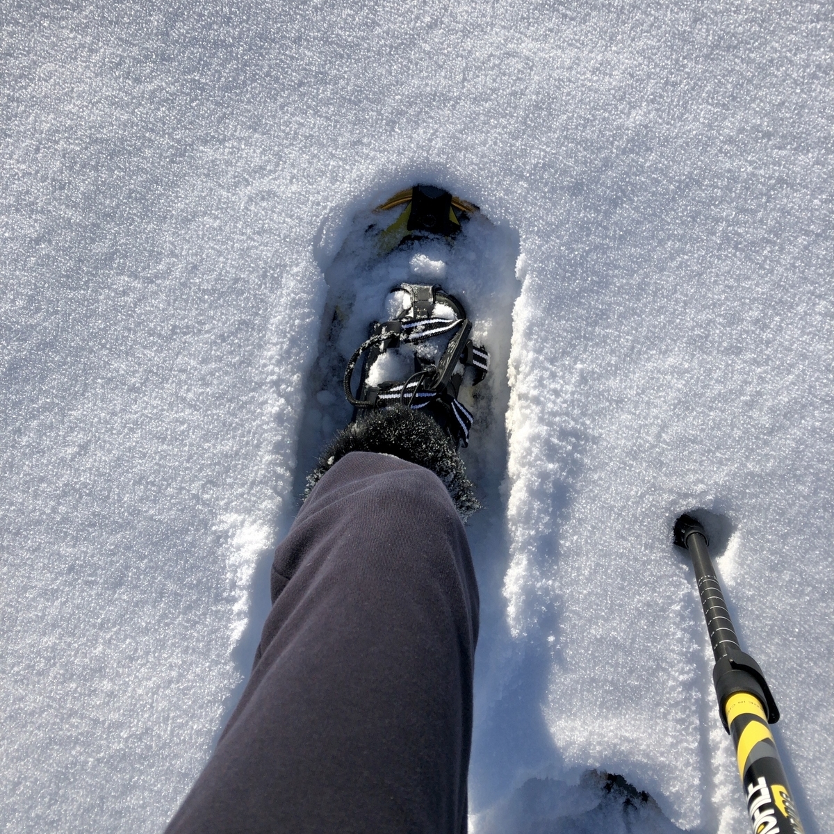 f:id:kuishinbou445:20210108130123j:plain