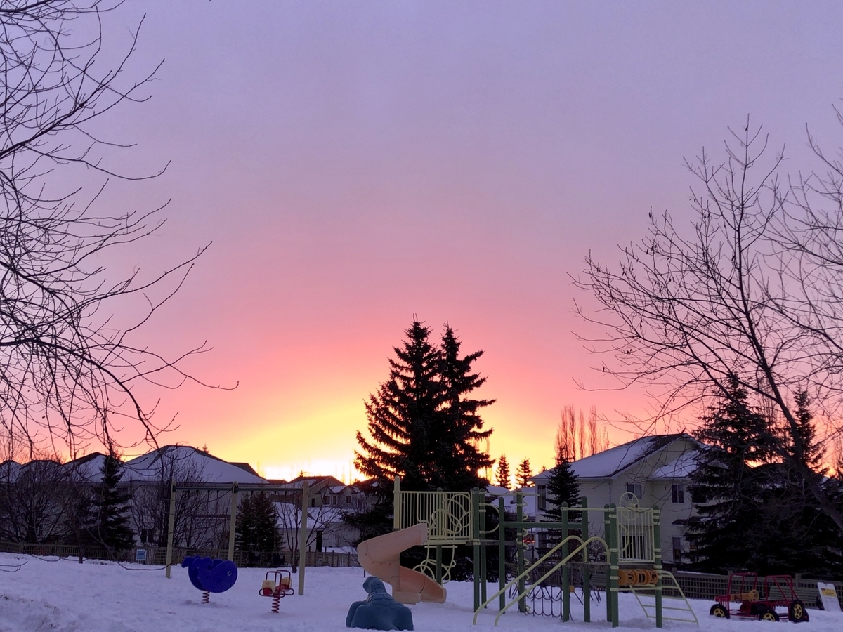 f:id:kuishinbou445:20210111092935j:plain