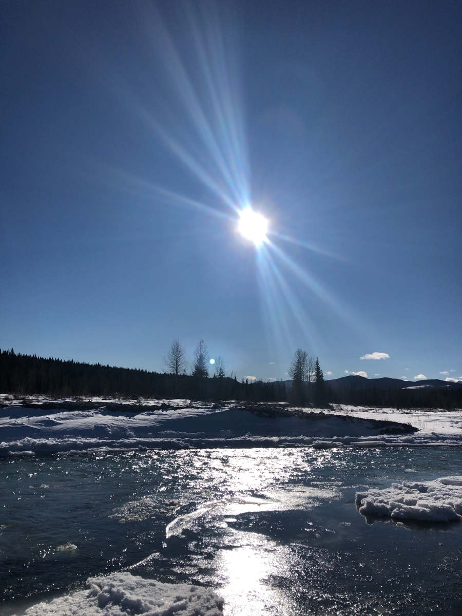 f:id:kuishinbou445:20210201123102j:plain