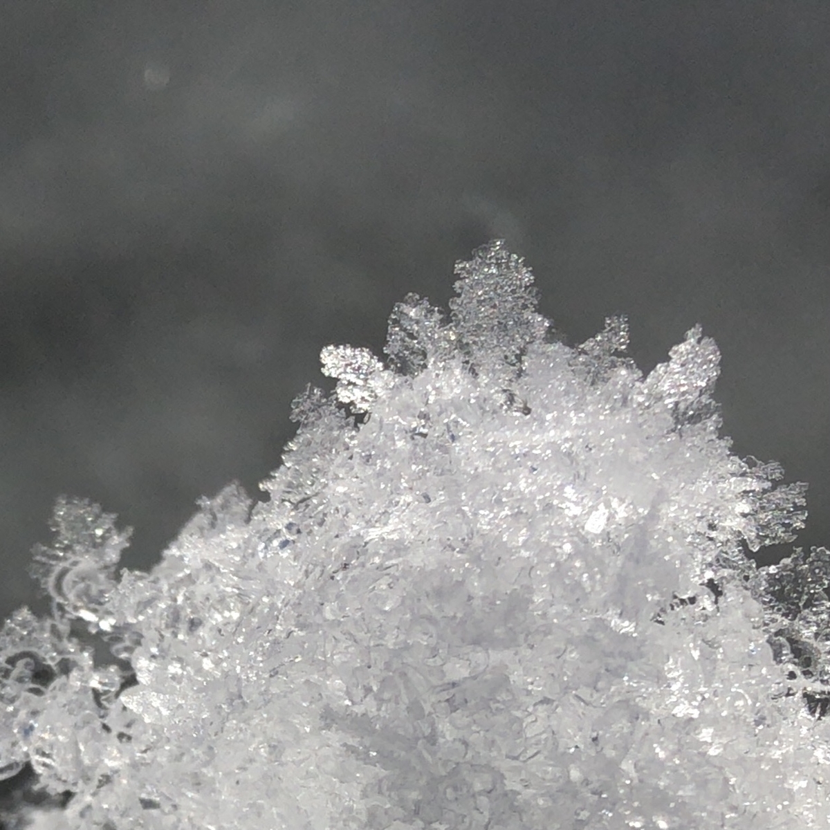 f:id:kuishinbou445:20210201123134j:plain