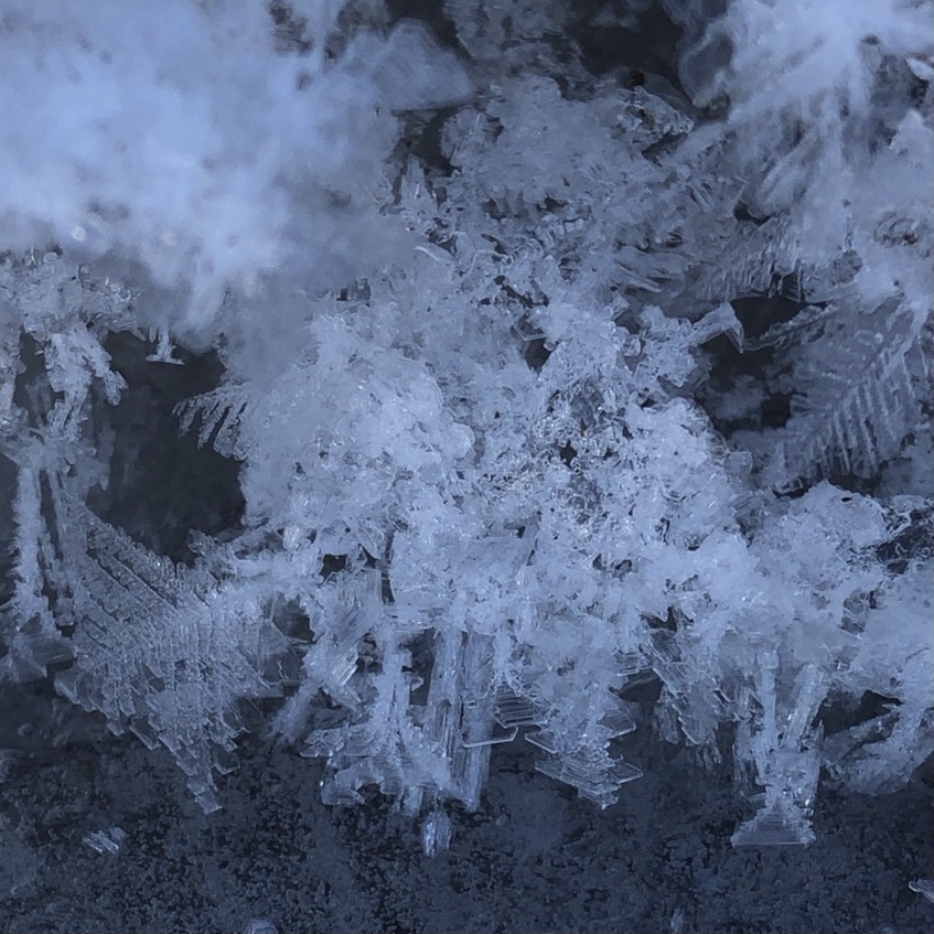 f:id:kuishinbou445:20210201123145j:plain