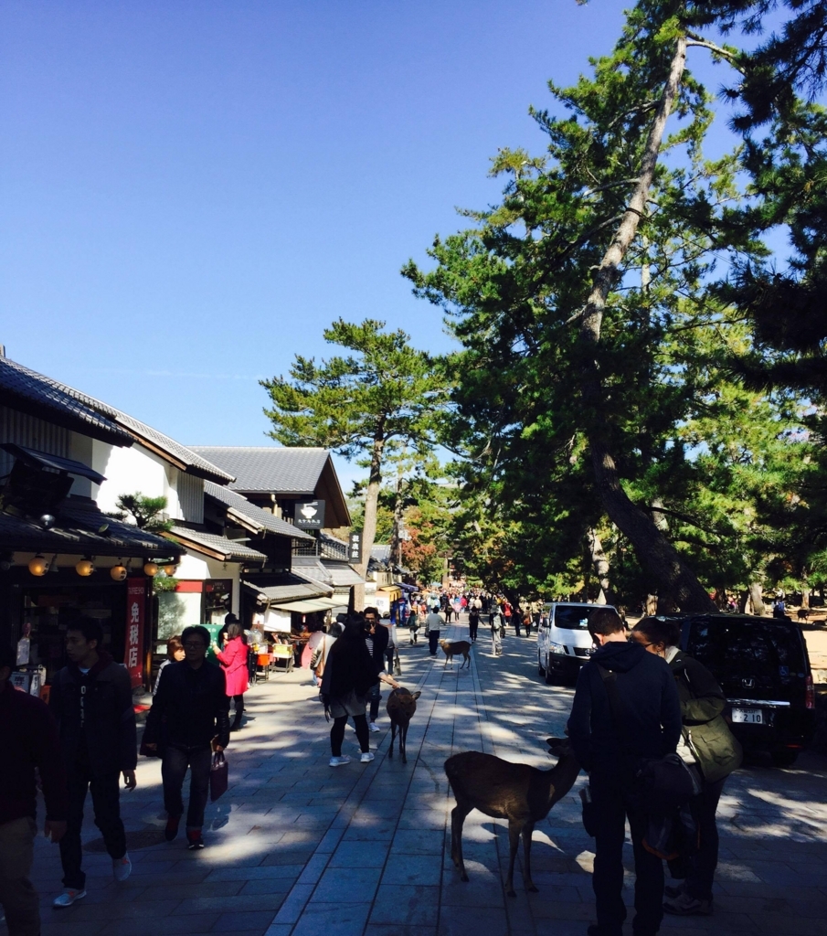 f:id:kuisti:20171123111023j:plain f:id:kuisti:20171123111023j:plain