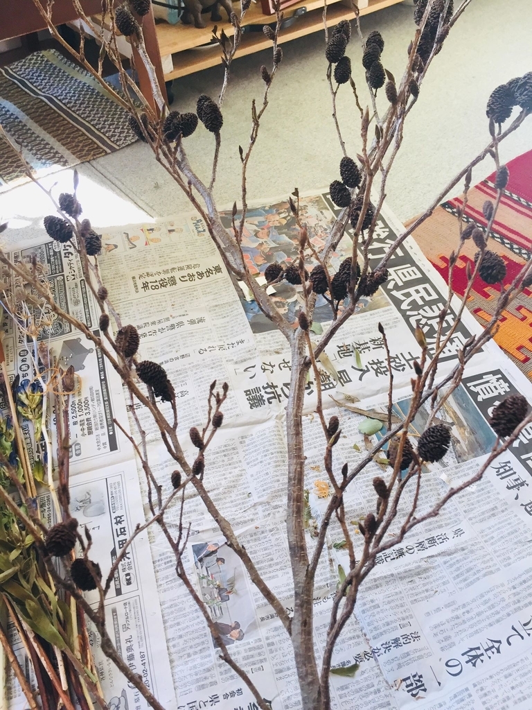 f:id:kuisti:20190105224827j:plain f:id:kuisti:20190105224827j:plain