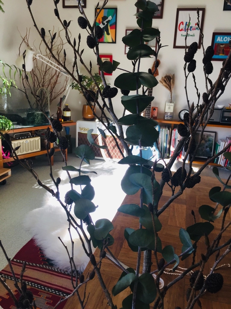 f:id:kuisti:20190105224855j:plain f:id:kuisti:20190105224855j:plain