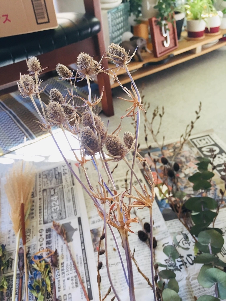 f:id:kuisti:20190105224920j:plain f:id:kuisti:20190105224920j:plain