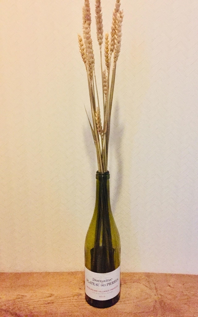 f:id:kuisti:20190105234157j:plain f:id:kuisti:20190105234157j:plain