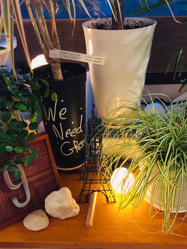 f:id:kuisti:20190111223024j:plain