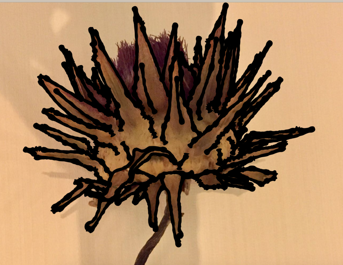 f:id:kuisti:20190708155206p:plain