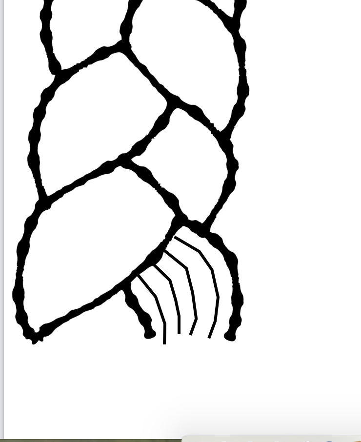 f:id:kuisti:20190805225642p:plain f:id:kuisti:20190805225642p:plain