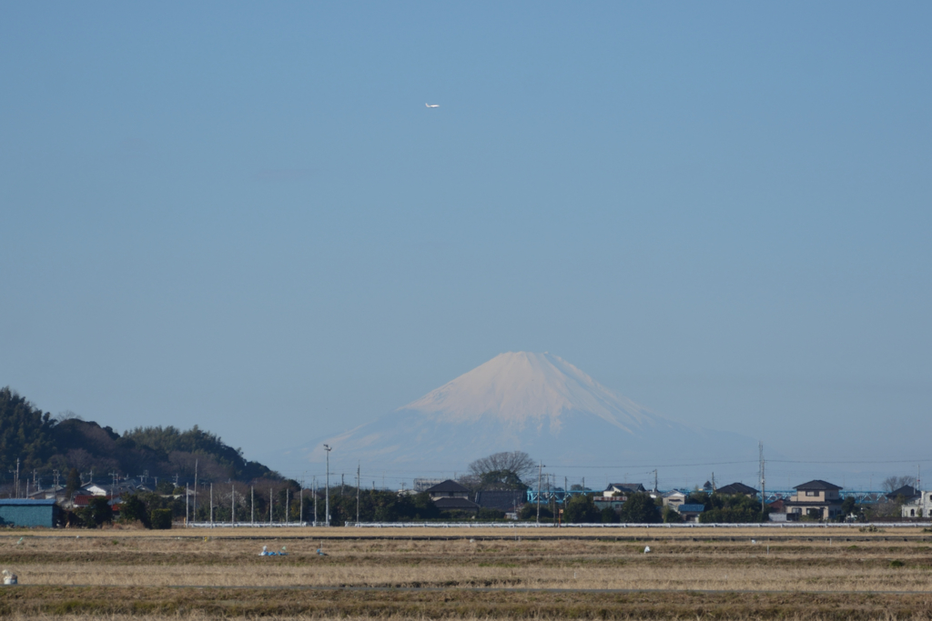 f:id:kuisugimasa:20161231123718j:plain