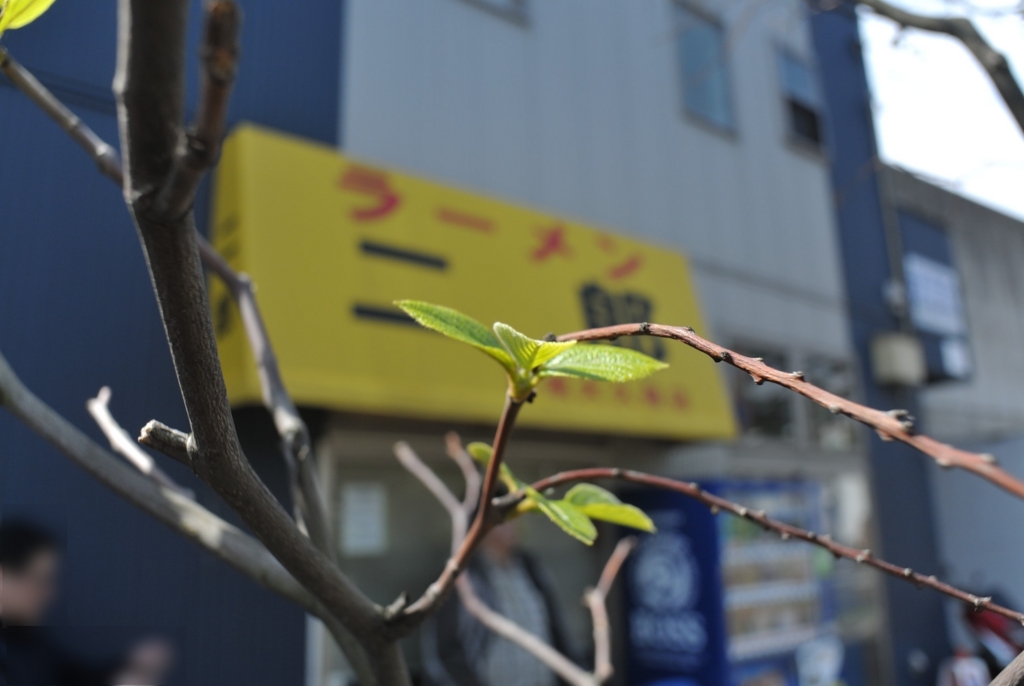 f:id:kuisugimasa:20170415161428j:plain
