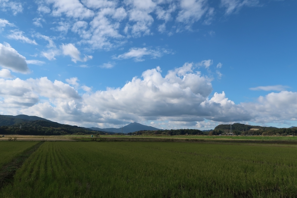 f:id:kuisugimasa:20181111050616j:plain f:id:kuisugimasa:20181111050616j:plain