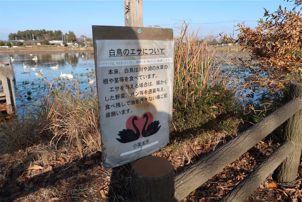 f:id:kuisugimasa:20181128070930j:image