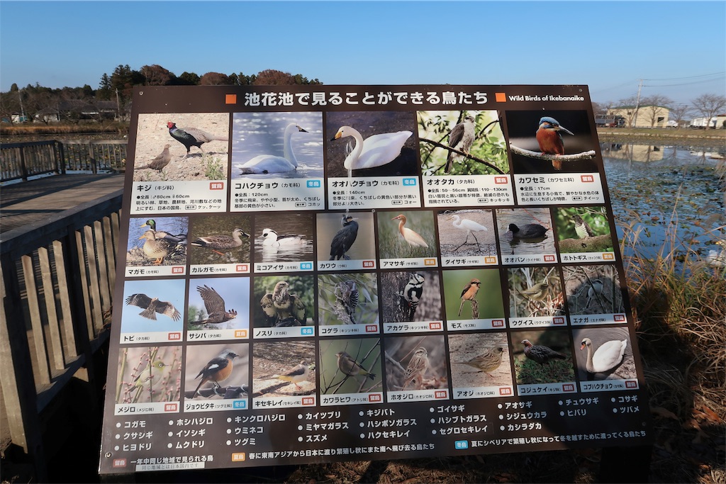 f:id:kuisugimasa:20181128070953j:image