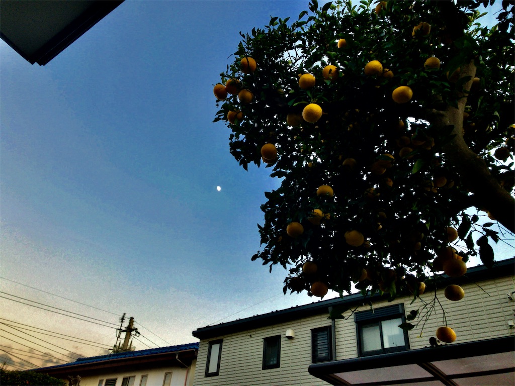 f:id:kuisugimasa:20181219204138j:image