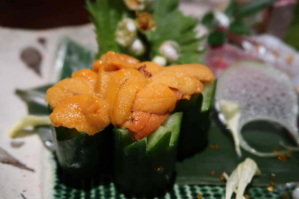 f:id:kuisugimasa:20190222234901j:plain