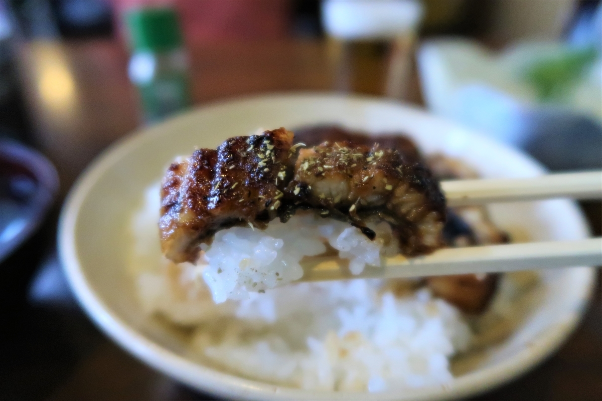f:id:kuisugimasa:20190331131431j:plain