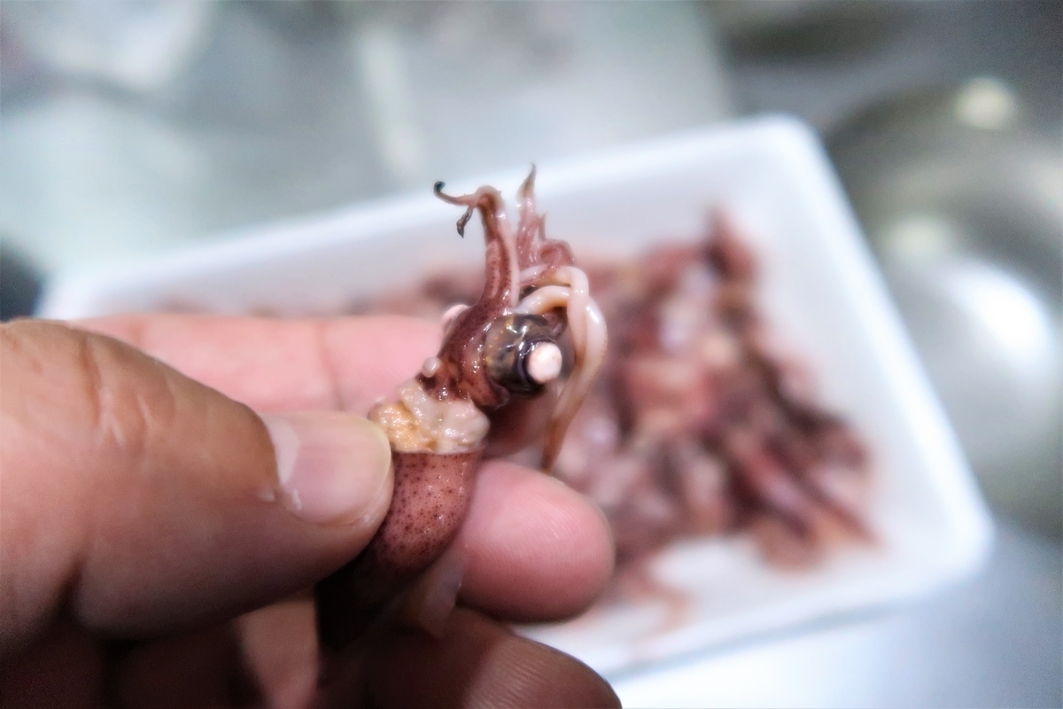 f:id:kuisugimasa:20190413184923j:plain