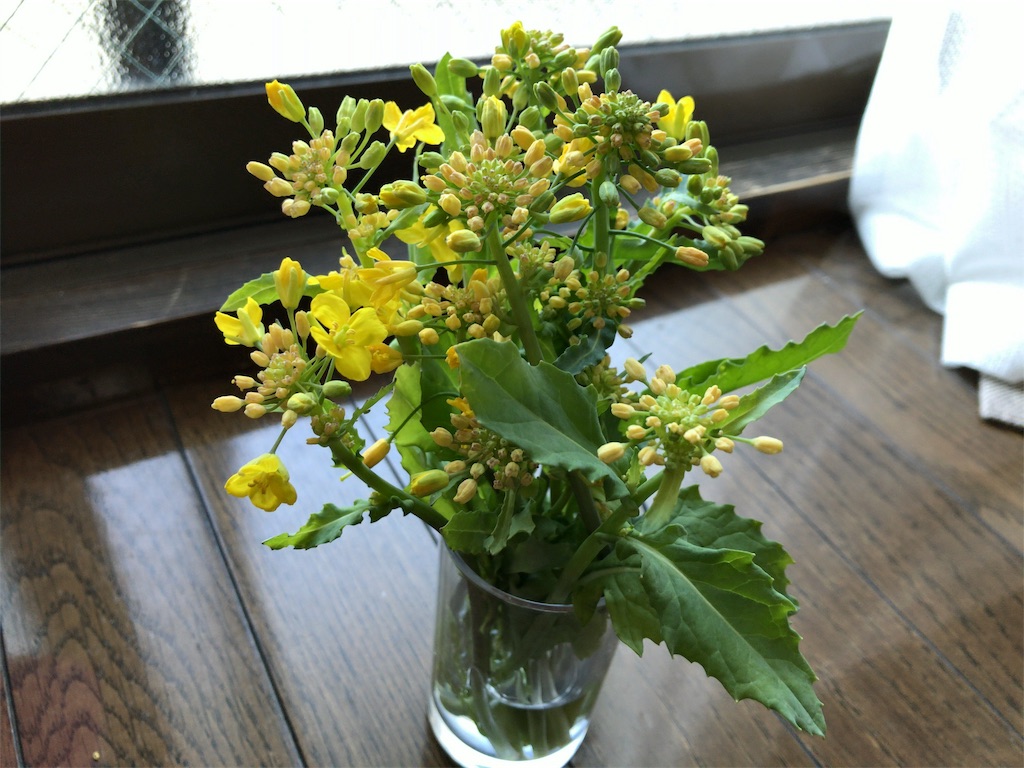 f:id:kuisugimasa:20190420222153j:image