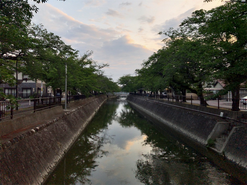 f:id:kuisugimasa:20190603085602j:image
