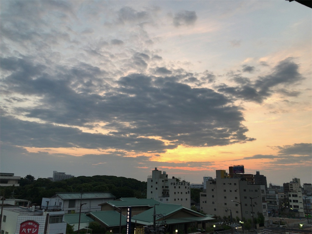 f:id:kuisugimasa:20190603085607j:image