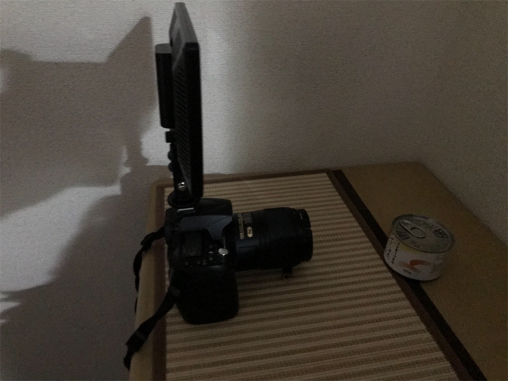 f:id:kuisugimasa:20190623090035j:image