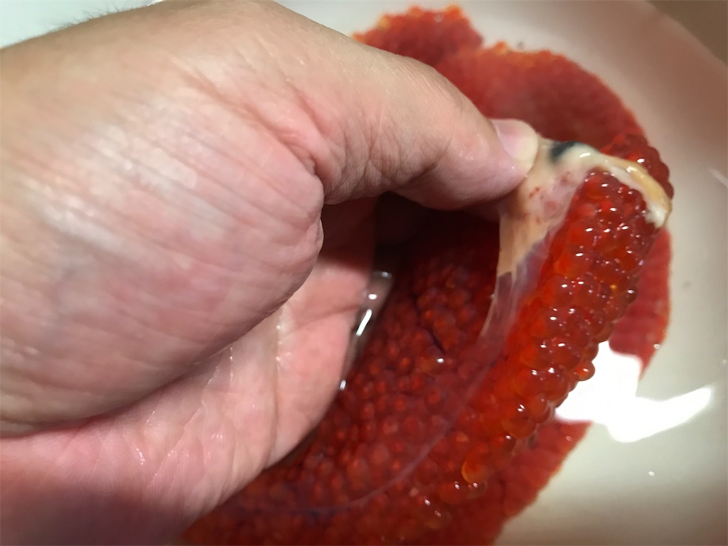 f:id:kuisugimasa:20191006180634j:image