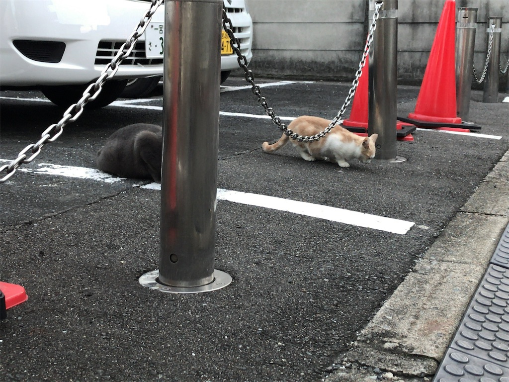 f:id:kuisugimasa:20191101170836j:image