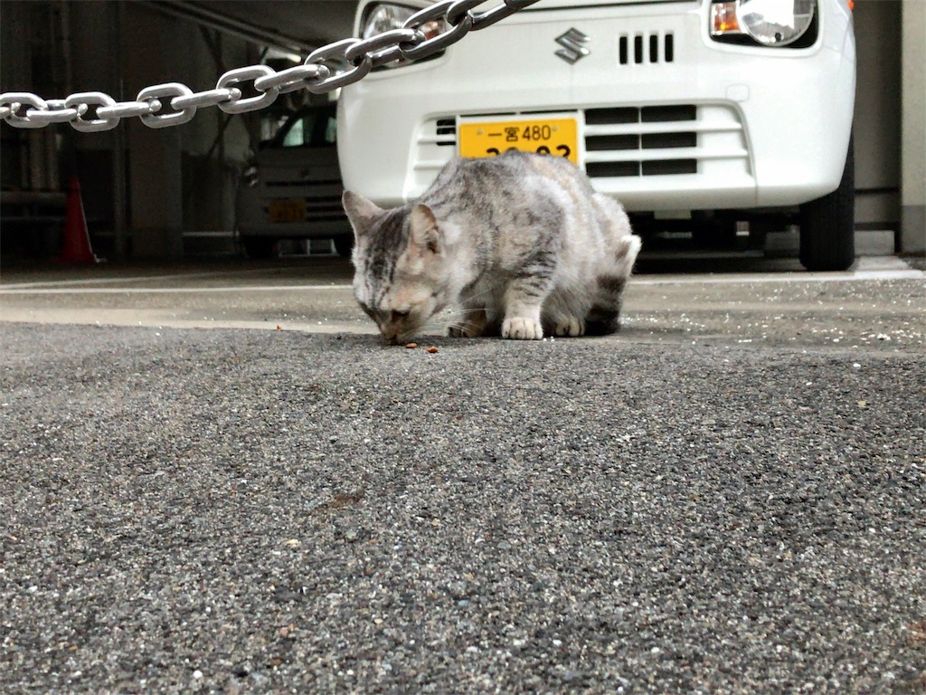 f:id:kuisugimasa:20191101170851j:image