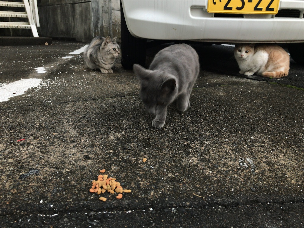 f:id:kuisugimasa:20191205071400j:image