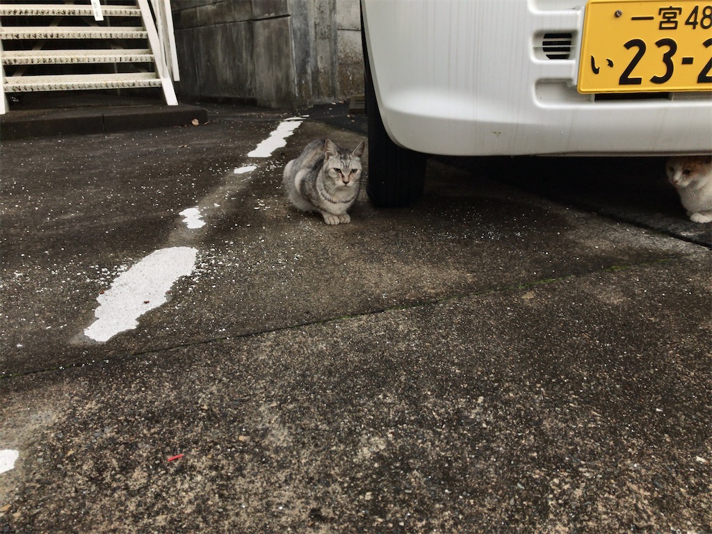 f:id:kuisugimasa:20191205071415j:image