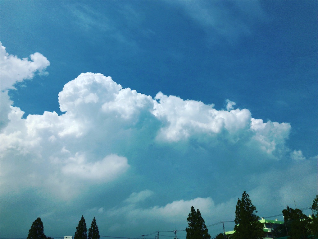 f:id:kuisugimasa:20200714004602j:image