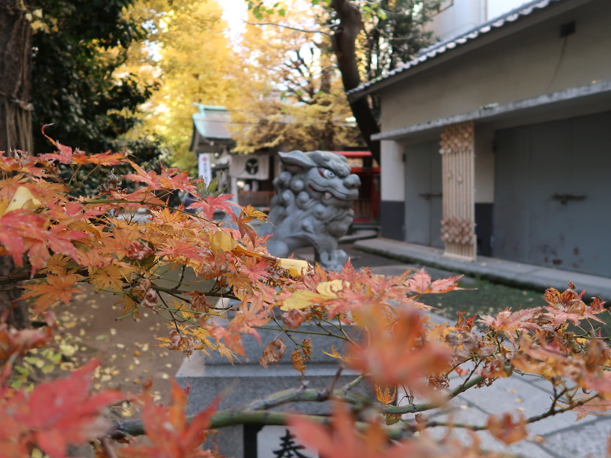 f:id:kuisugimasa:20201212165026j:plain