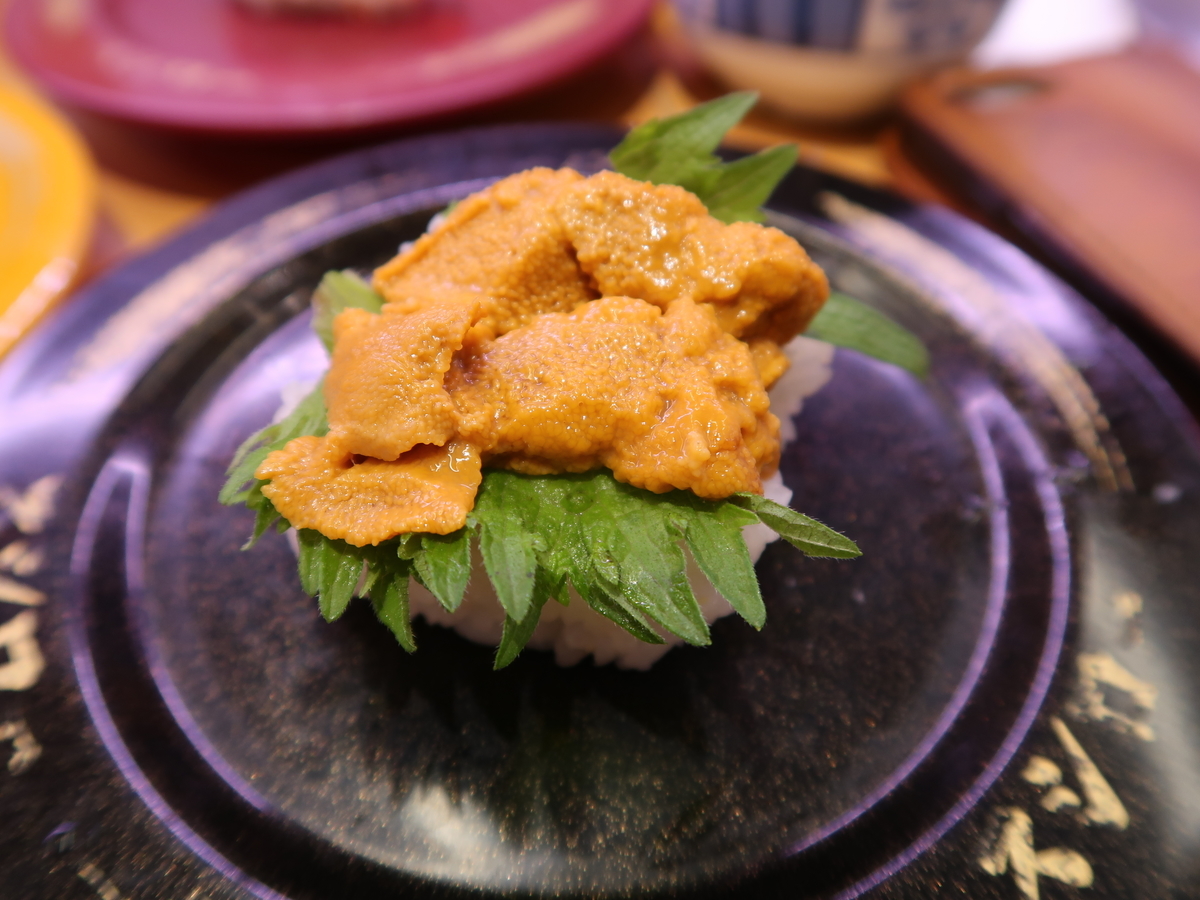 f:id:kuisugimasa:20210117141913j:plain
