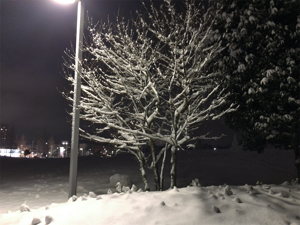 f:id:kuisugimasa:20220107062847j:image