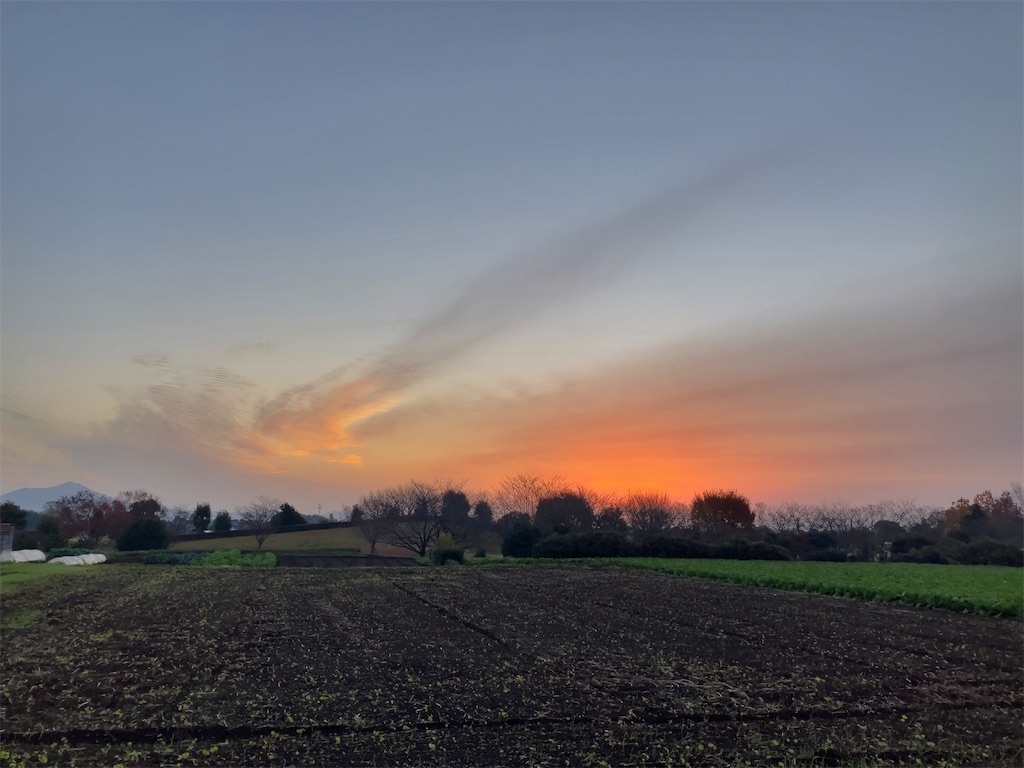 f:id:kuisugimasa:20221129083000j:image