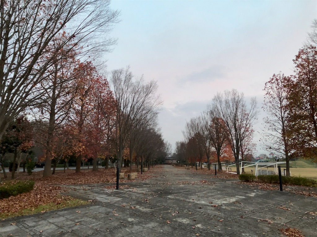 f:id:kuisugimasa:20221129083003j:image