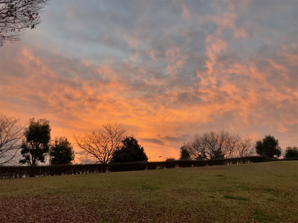 f:id:kuisugimasa:20221129083010j:image