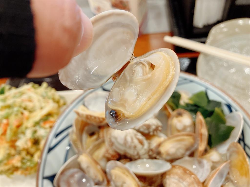 f:id:kuisugimasa:20230407162253j:image f:id:kuisugimasa:20230407162253j:image