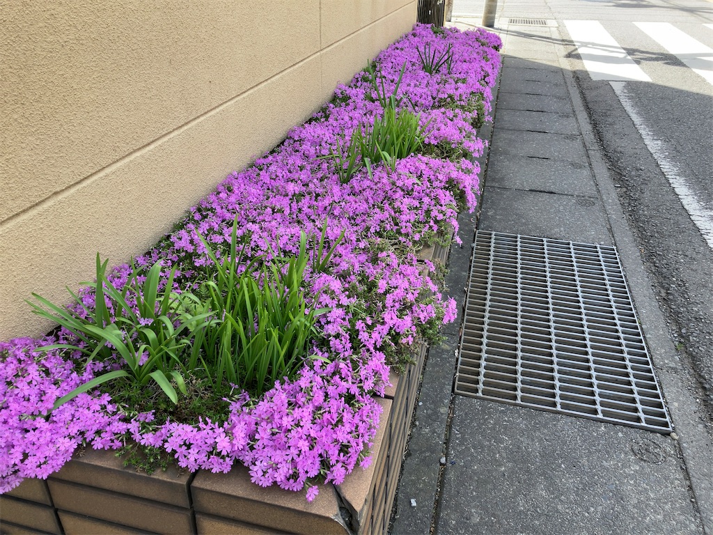 f:id:kuisugimasa:20230414003555j:image