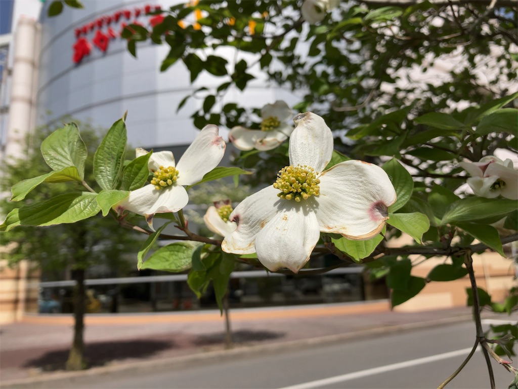 f:id:kuisugimasa:20230414003601j:image