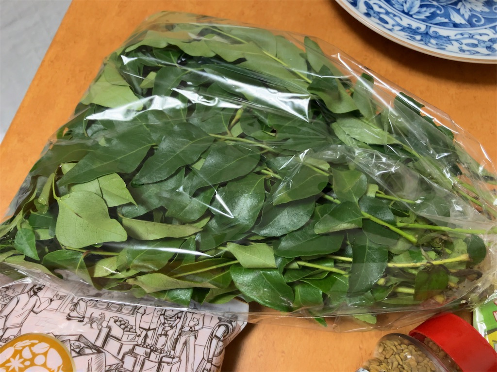f:id:kuisugimasa:20230901220705j:image