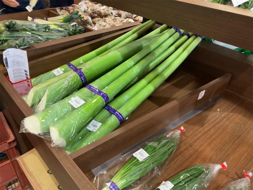 f:id:kuisugimasa:20230929161030j:image