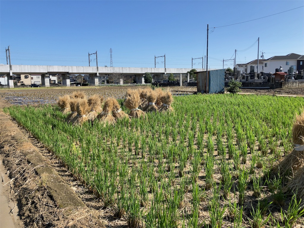 f:id:kuisugimasa:20231008135622j:image f:id:kuisugimasa:20231008135622j:image