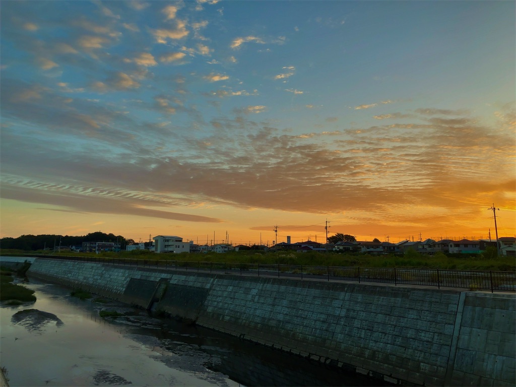 f:id:kuisugimasa:20231008140454j:image f:id:kuisugimasa:20231008140454j:image