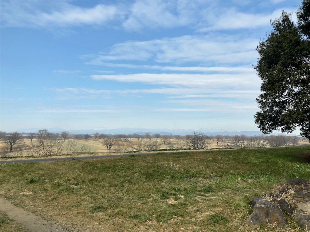 f:id:kuisugimasa:20240204143022j:image