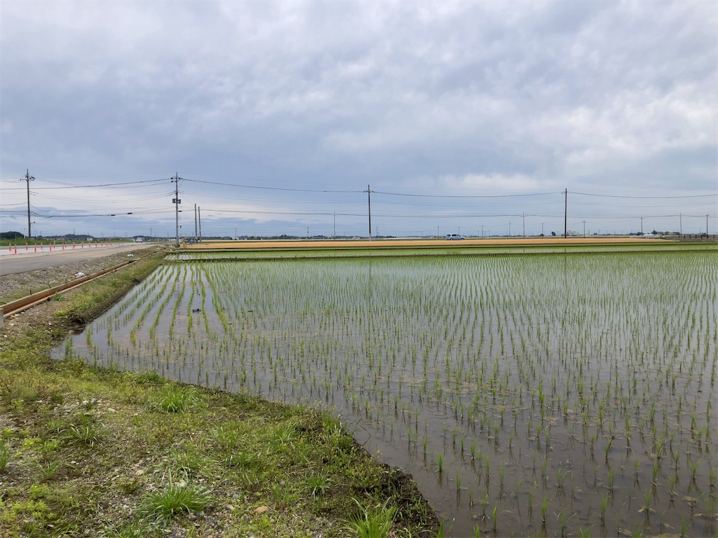 f:id:kuisugimasa:20240513194142j:image